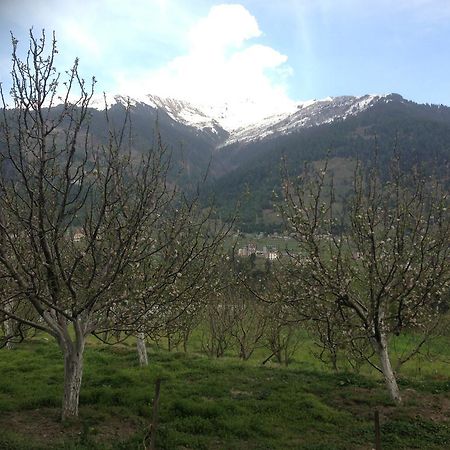 Akash Hills Hotel Manali (Himachal Pradesh) Bagian luar foto